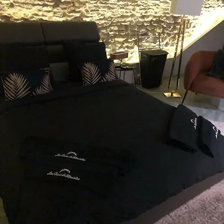 Jaccuzi & Spa Des Caves Stanislas Apartment Nancy