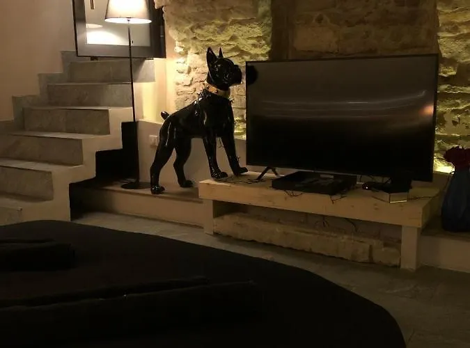 Jaccuzi & Des Caves Stanislas Apartment Nancy