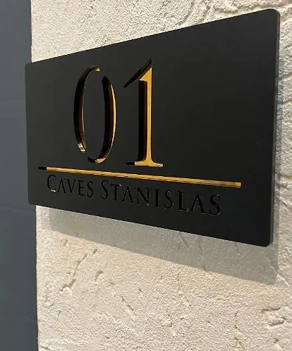 Jaccuzi & Des Caves Stanislas Apartment Nancy