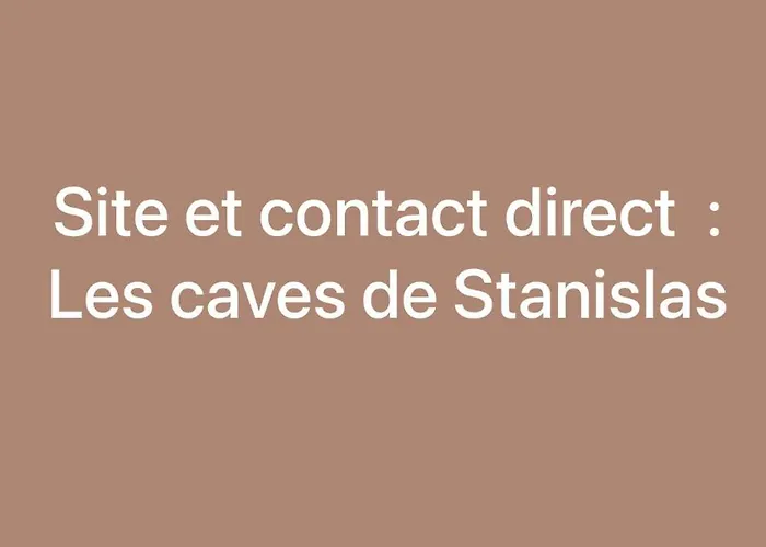 Appartamento Jaccuzi&spa Des Caves Stanislas *